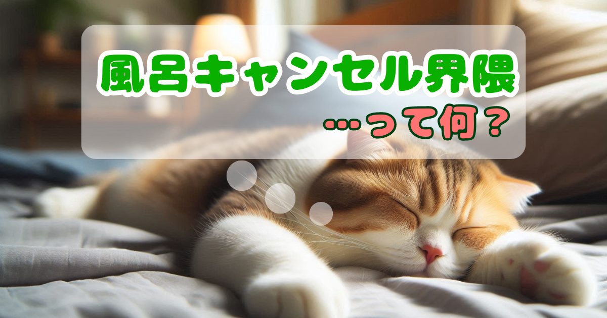 現代の「生き方」が原因だった？風呂キャンセル界隈の謎にせまる！
