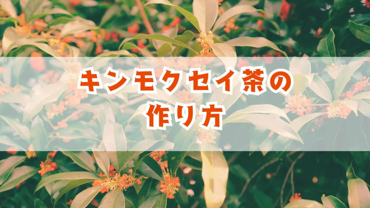 キンモクセイ茶(桂花茶)を手作りして楽しもう！【花を摘んでから淹れ方まで】