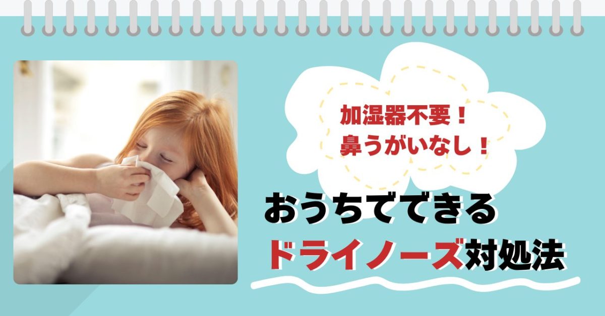加湿器なし・鼻うがいなし！おうちでできるドライノーズ対処法